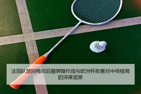 法国队楚阿梅尼后腰屏障作用与欧洲杯前景对中场格局的深度观察